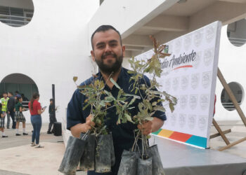 Acuña es reforestada con 6 mil arboles