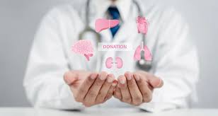 Seguiremos en pañales