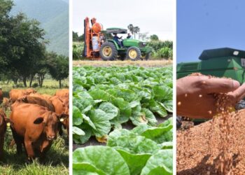 SE DESPLOMA CASI 50 POR CIENTO BALANZA COMERCIAL AGROALIMENTARIA DE MÉXICO