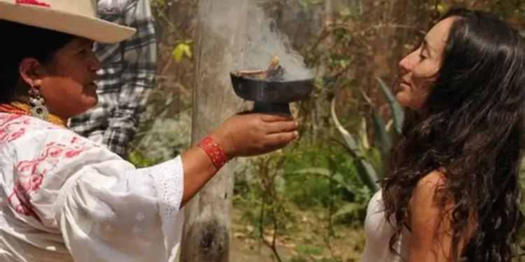 ¿Se les reconocerá como profesionistas?