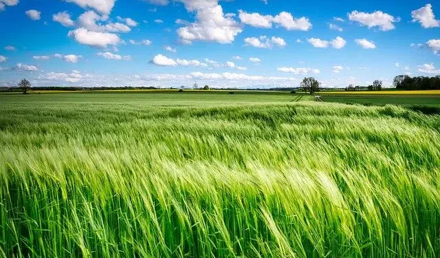 AGRÓNOMOS DEL PAÍS, SE PRONUNCIAN POR PREPARAR Y EJECUTAR UN PLAN AGROALIMENTARIO DE GRAN VISIÓN PARA EL PERIODO 2030 – 2050