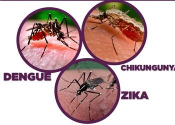 Autoridades de salud llaman a mantener acciones preventivas