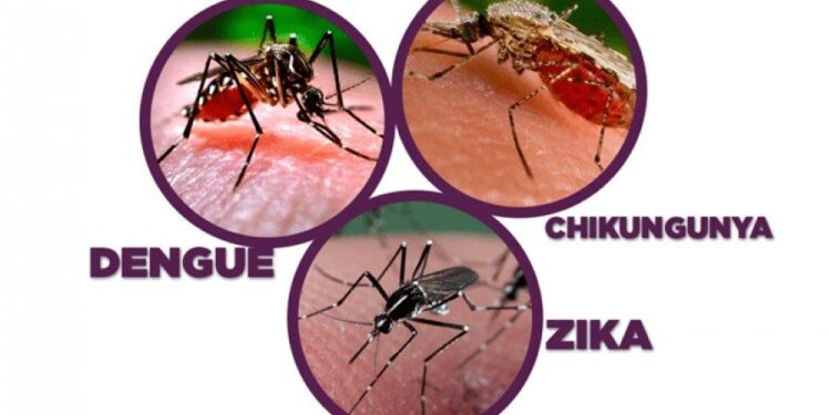 Autoridades de salud llaman a mantener acciones preventivas