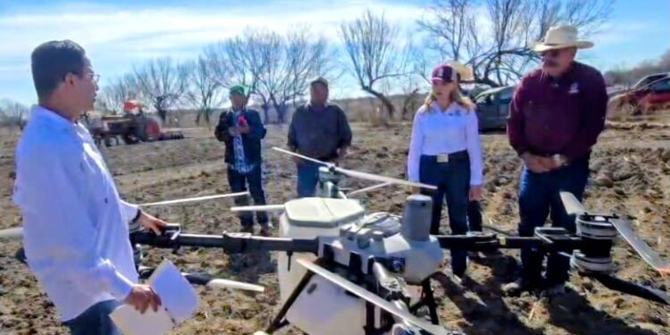 Drones agrícolas llegan al campo de Piedras Negras