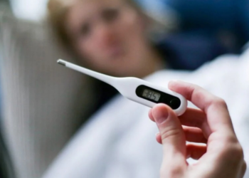 Presenta Secretaría de Salud Plan Estratégico 2026 contra dengue, rickettsia y sarampión en la Región Norte