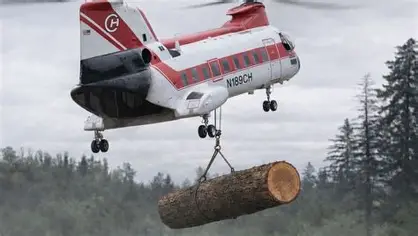 Helicópteros lanzan troncos sobre ríos: más de 6.000 árboles para salvar ecosistemas