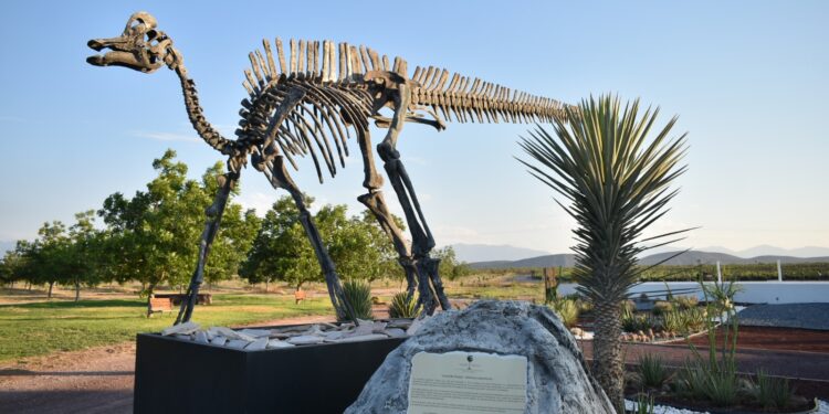 ESTÁS VACACIONES VISITA LOS PUEBLOS MÁGICOS DE COAHUILA: MANOLO