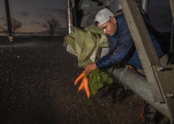 Gobierno de México llama a productores a regularizar concesiones de agua antes del 28 de abril para acceder a programas federales