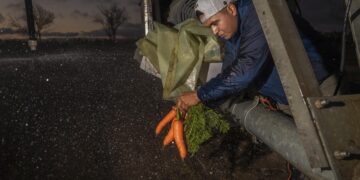 Gobierno de México llama a productores a regularizar concesiones de agua antes del 28 de abril para acceder a programas federales