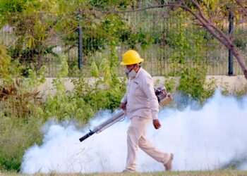 Refuerzan acciones contra el mosquito transmisor del dengue tras las lluvias