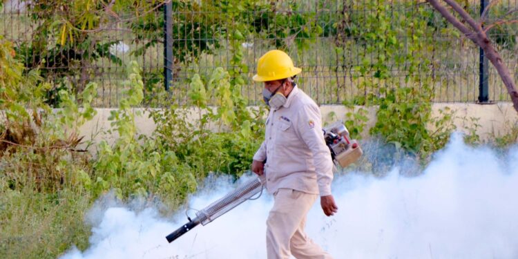 Refuerzan acciones contra el mosquito transmisor del dengue tras las lluvias