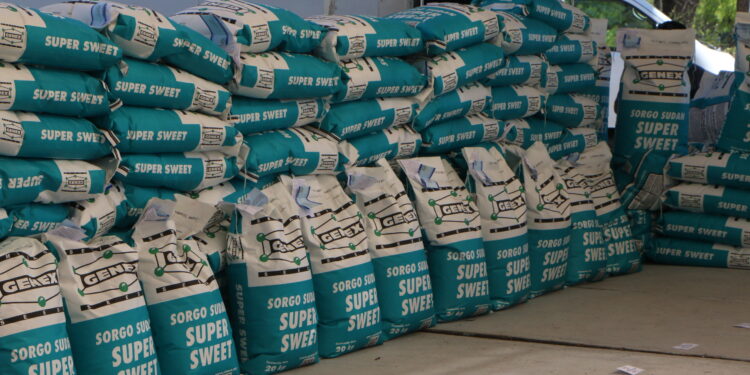 Con subsidio del 50%, entregan semilla y fertilizantes para sembrar 700 hectáreas en Piedras Negras