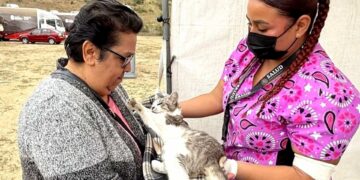 Refuerza Secretaría de Salud campañas de prevención contra la rickettsia en redes sociales