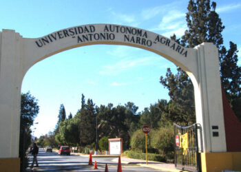 Raíces que perduran