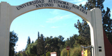 Raíces que perduran