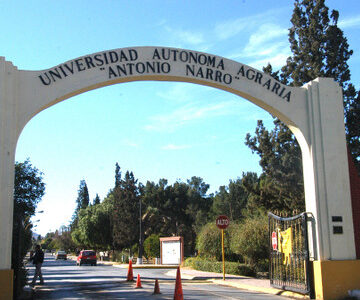 Raíces que perduran