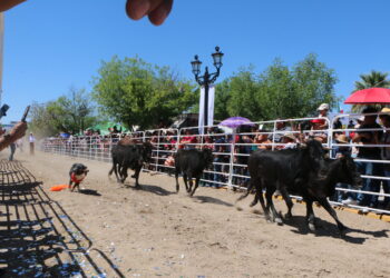 Running Las Vacas 2026 impulsará el turismo y la economía en Ciudad Acuña