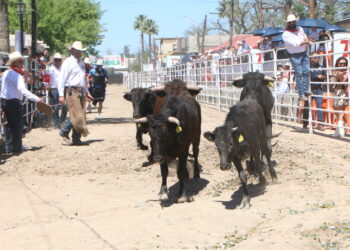 Más de 20 mil visitantes esperan en el Running Las Vacas durante el fin de semana en Acuña