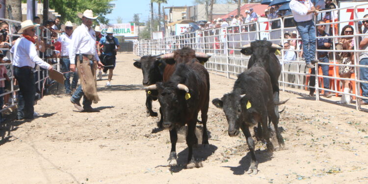 Más de 20 mil visitantes esperan en el Running Las Vacas durante el fin de semana en Acuña