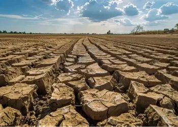 Estados Unidos enfrenta sequía récord: crecen temores por incendios y alza en precios de alimentos