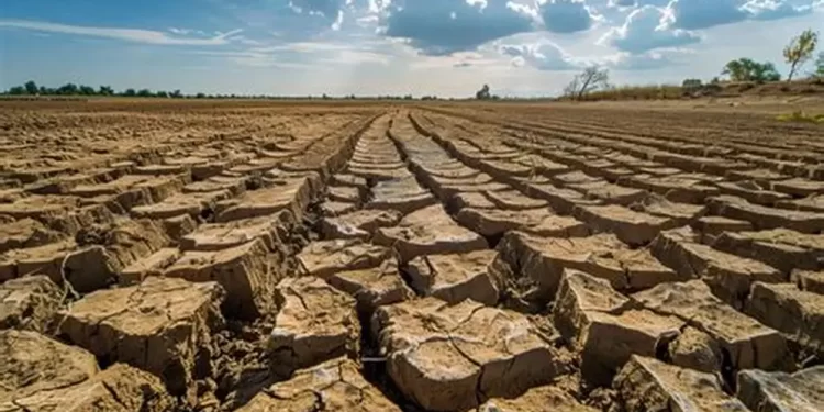 Estados Unidos enfrenta sequía récord: crecen temores por incendios y alza en precios de alimentos