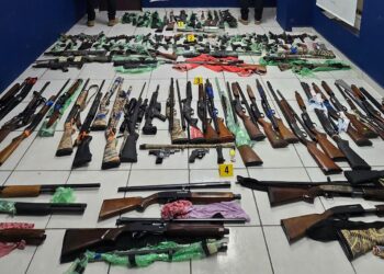 Autoridades de Coahuila aseguran 116 armas destinadas a grupos criminales