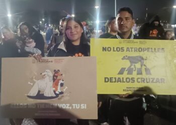 Implementan sistema con QR para localizar mascotas en Piedras Negras
