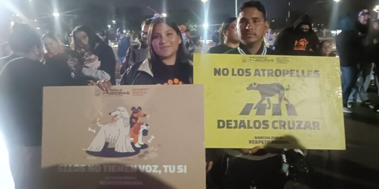 Implementan sistema con QR para localizar mascotas en Piedras Negras