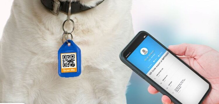 Implementan identificación con QR para mascotas en Piedras Negras; buscan prevenir extravíos y extorsiones