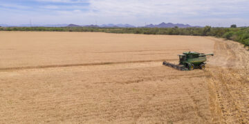 ALCANZA GRUPO BIMBO NUTRICIÓN POSITIVA EN EL 98% DE SU PORTAFOLIO DE CONSUMO DIARIO