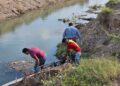 Impulsan acciones preventivas con limpieza de arroyos en Acuña