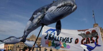 CIUDAD DE MÉXICO, 29ENERO2025.- Activistas de la coalición #ballenasogas  se manifestaron para exigir justicia para frenar el proyecto saguaro. El recorrido inicio en el Palacio de Bellas Artes y terminó en el Zócalo capitalino. 
FOTO: GRACIELA LÓPEZ/CUARTOSCURO.COM